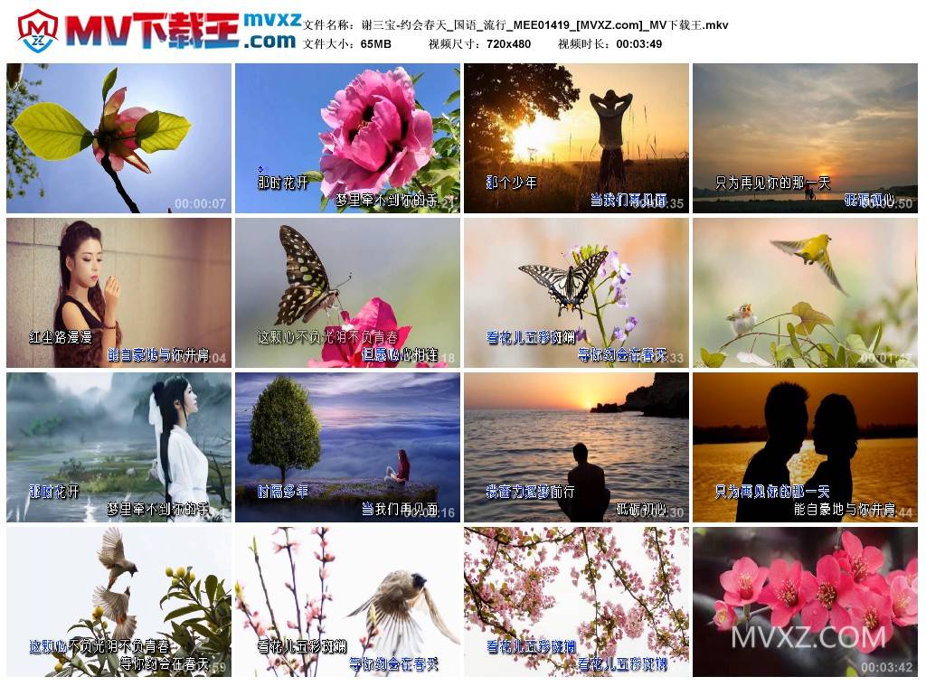 谢三宝-约会春天_国语_流行_MEE01419